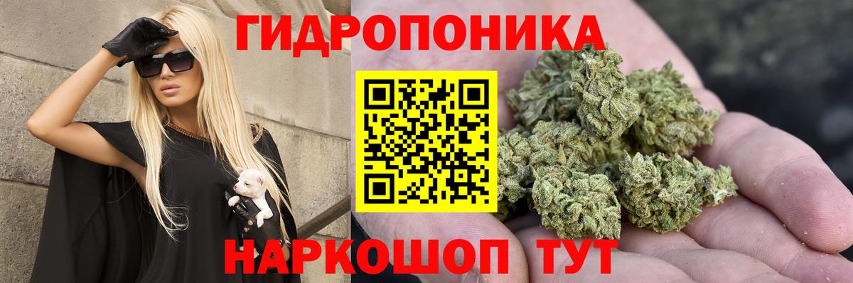 Похвистнево  Каннабис семена  Бошки Шишки White Widow  Бошки марихуана индика  Вход с VPN 